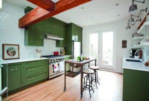 Kitchen Cabinets in Green Foliage