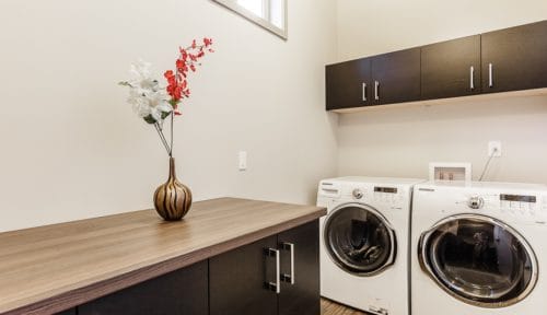 Laundry Room Cabinets