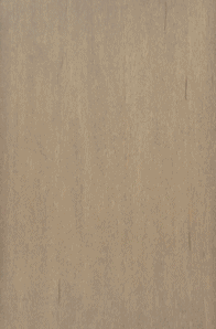 Kermode Maple Door