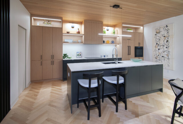 Modern Minimal Kitchen