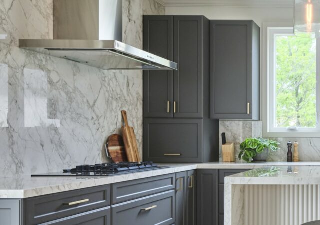 Close Up Japan Kitchen Merit Lexington Door Style